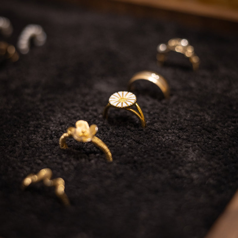 Valet - Jewelry Edition